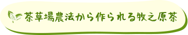 茶草場農法から作られる牧之原茶