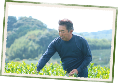 望つゆひかり収穫イメージ