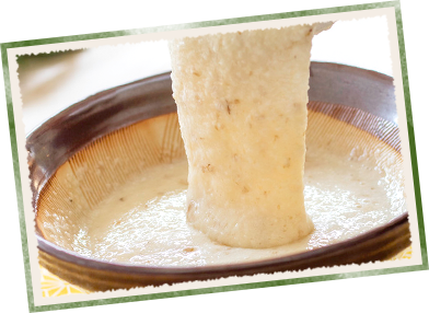 自然薯収穫イメージ