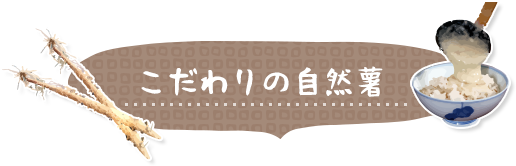 こだわりの自然薯