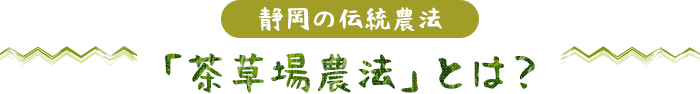 静岡の伝統農法「茶草場農法」とは？