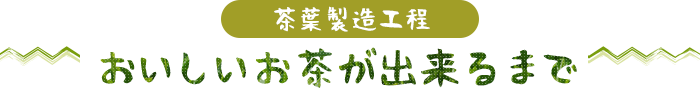 茶葉製造工程「おいしいお茶ができるまで」