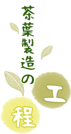 茶葉製造の工程